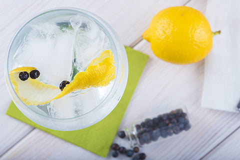 Cocktail Kit: Gin & Tonic